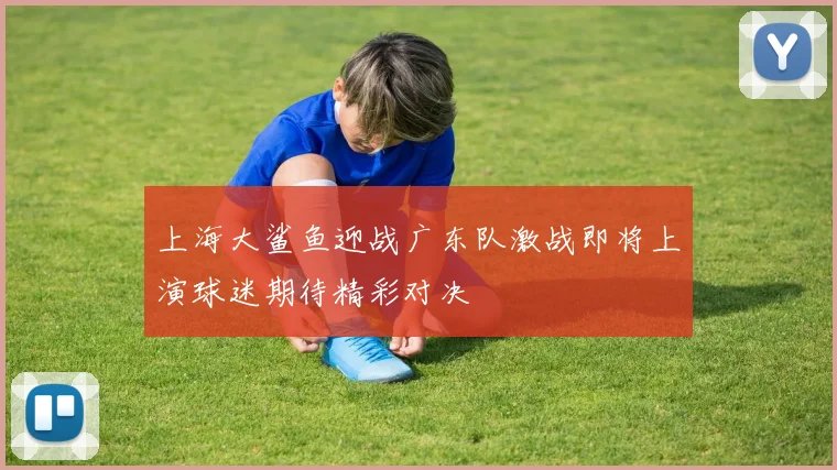 上海大鲨鱼迎战广东队激战即将上演球迷期待精彩对决