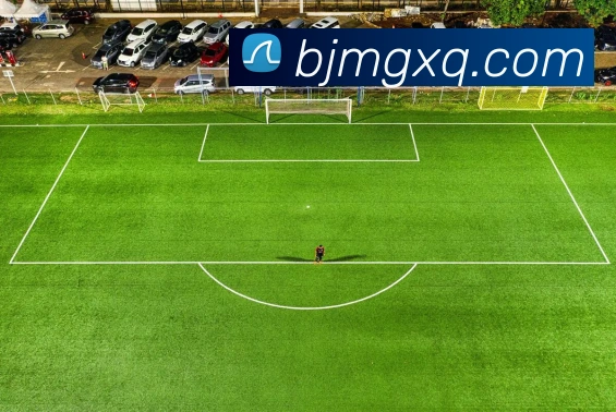 JJB竞技宝平台生态图